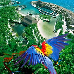 aerea-xcaret-02 (1)