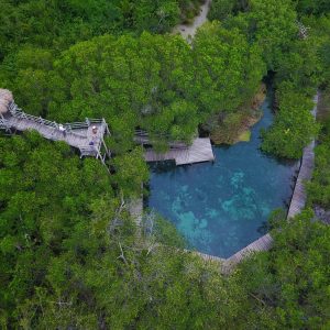 holbox isla tour