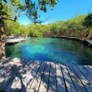 holbox tour caribe isla