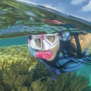 WhatsApp Image 2026-02-09 at 12.11.10 (1)