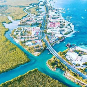 WhatsApp Image 2026-02-09 at 12.11.10 (2)