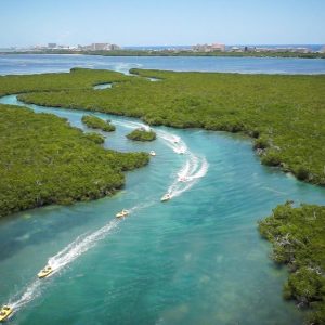 WhatsApp Image 2026-02-09 at 12.11.10