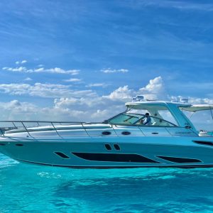 WhatsApp Image 2026-02-09 at 12.13.21 (4)