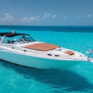 WhatsApp Image 2026-02-09 at 12.13.21 (5)