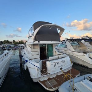 WhatsApp Image 2026-02-09 at 12.13.21 (9)