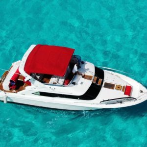 WhatsApp Image 2026-02-09 at 12.13.22